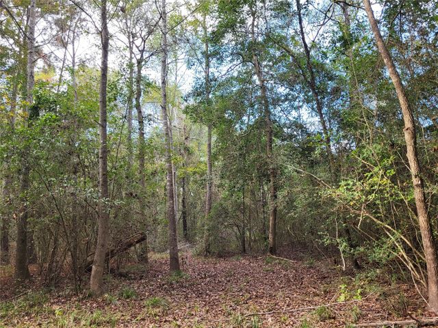 27055 Sandy Creek, Magnolia, TX 77355