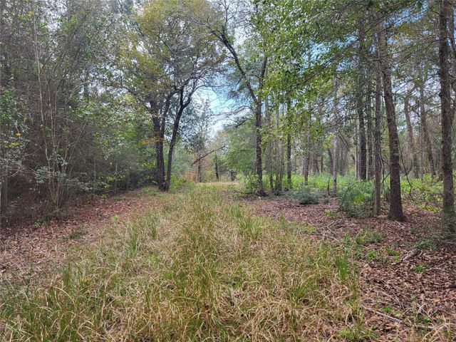 27055 Sandy Creek, Magnolia, TX 77355