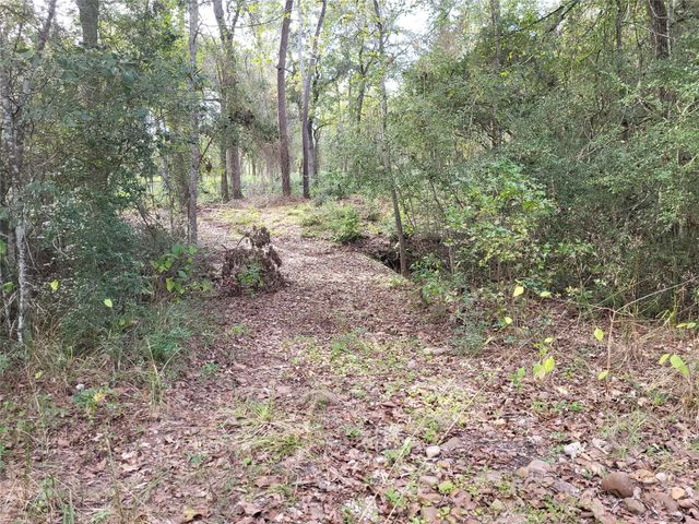 27055 Sandy Creek, Magnolia, TX 77355