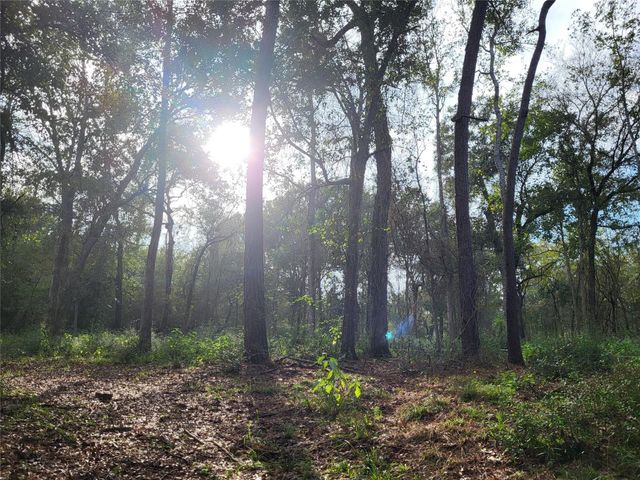 27055 Sandy Creek, Magnolia, TX 77355