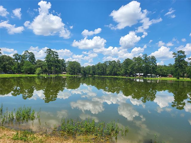 27055 Sandy Creek, Magnolia, TX 77355