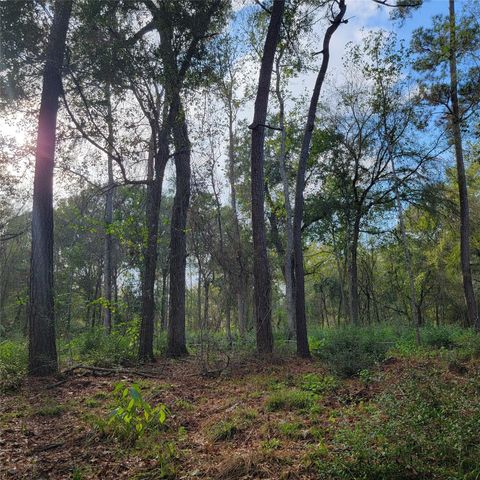 27055 Sandy Creek, Magnolia, TX 77355