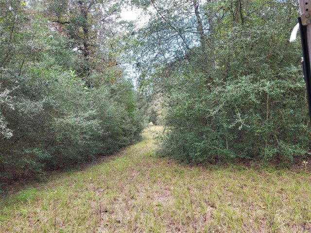 27055 Sandy Creek, Magnolia, TX 77355