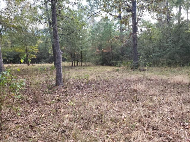 27055 Sandy Creek, Magnolia, TX 77355