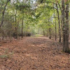 27055 Sandy Creek, Magnolia, TX 77355