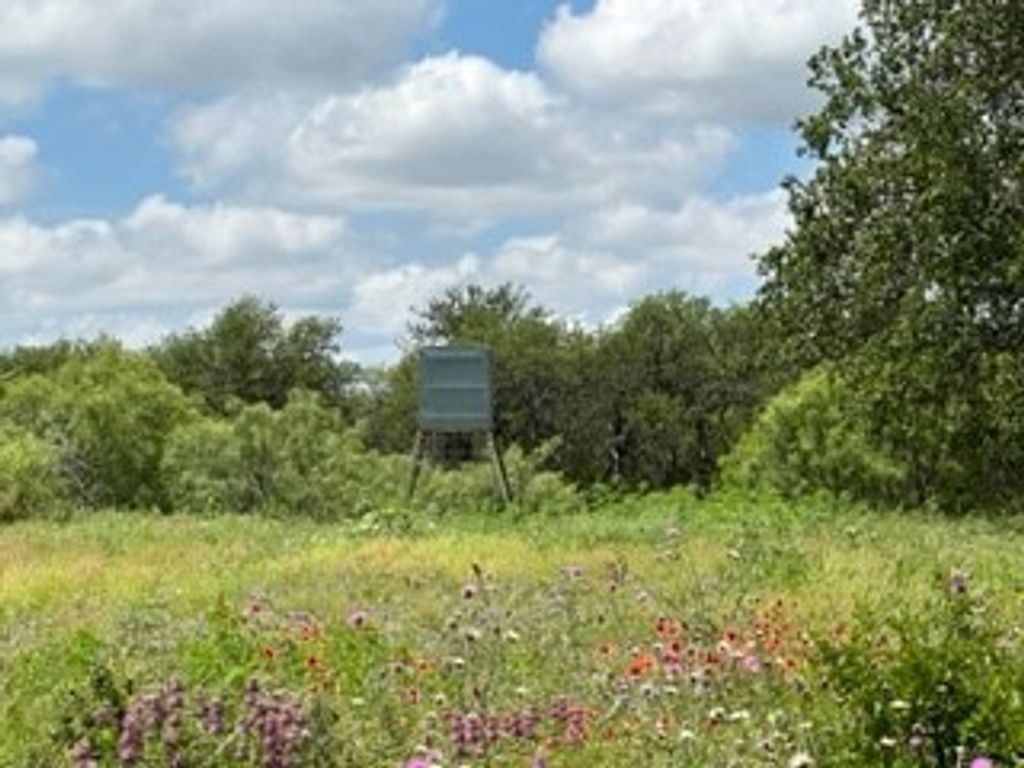 90 Fm 2492, Brownwood, TX 76801