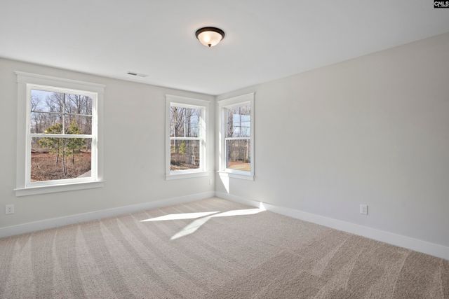 30 Honey Crisp Court, Elgin, SC 29045
