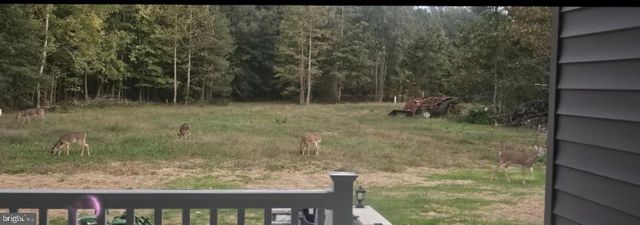 1108 CAMP ROAD RD, Denton, MD 21629