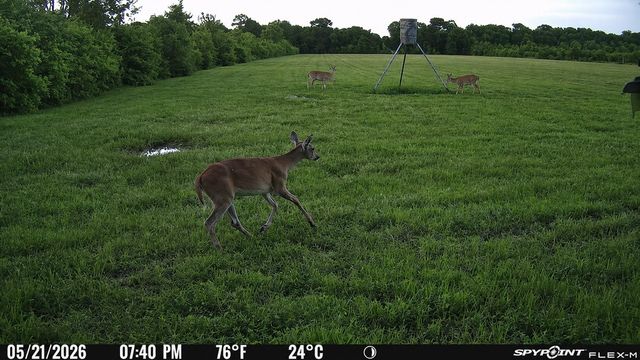 2240 Meyer Road, Beasley, TX 77417