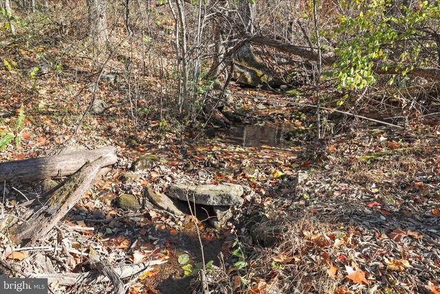 799 STEPHENS LN, Fort Valley, VA 22652