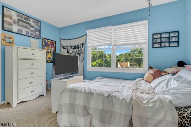452 Lenape Trl, Bridgewater Twp., NJ 08807