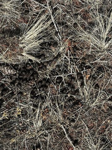 238 Boothby Lane, Fort Garland, CO 81133