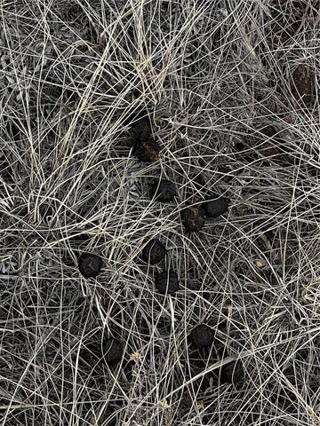 238 Boothby Lane, Fort Garland, CO 81133