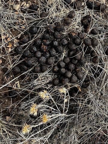 238 Boothby Lane, Fort Garland, CO 81133