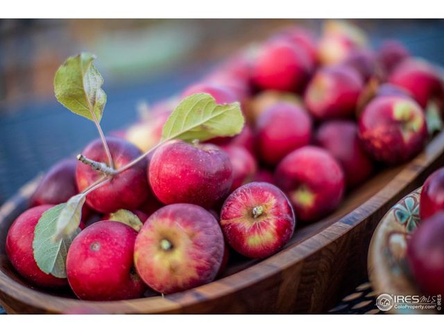 2447 20th St, Boulder, CO 80304