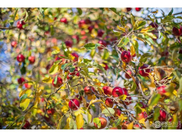 2447 20th St, Boulder, CO 80304