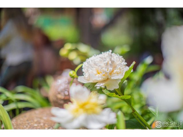 2447 20th St, Boulder, CO 80304