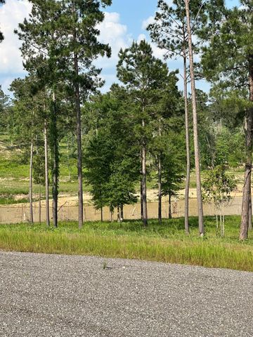 0 Western Road, Livingston, TX 77351