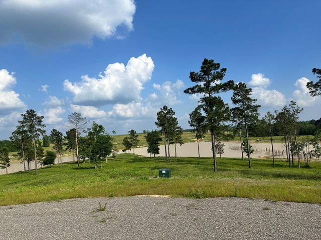 0 Western Road, Livingston, TX 77351