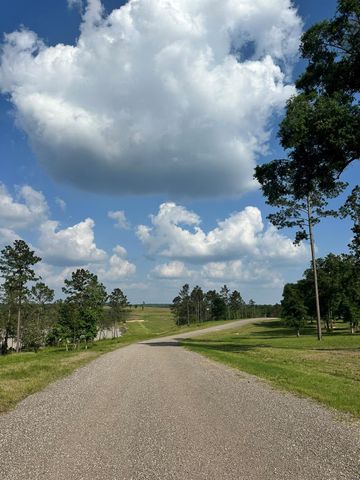0 Western Road, Livingston, TX 77351