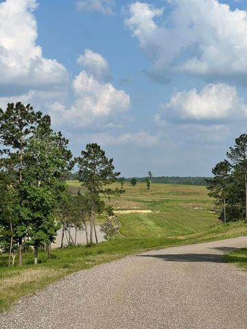 0 Western Road, Livingston, TX 77351