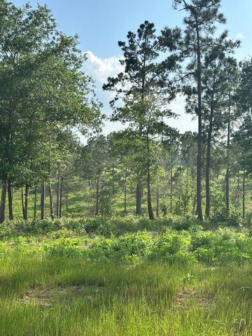 0 Western Road, Livingston, TX 77351