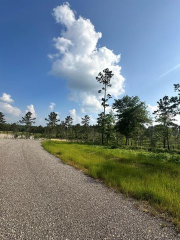 0 Western Road, Livingston, TX 77351