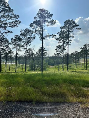 0 Western Road, Livingston, TX 77351