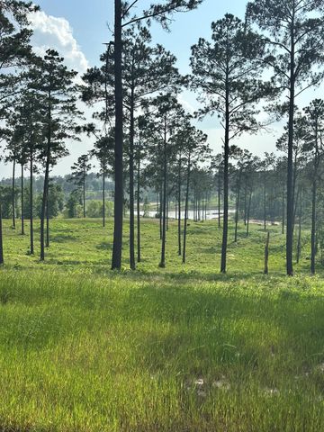 0 Western Road, Livingston, TX 77351