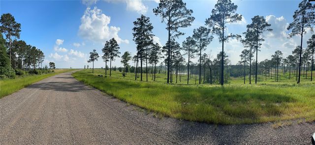 0 Western Road, Livingston, TX 77351