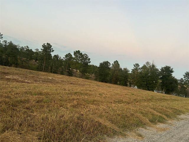 0 Western Road, Livingston, TX 77351
