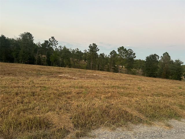 0 Western Road, Livingston, TX 77351