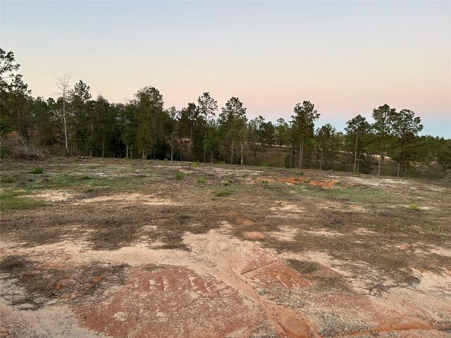 0 Western Road, Livingston, TX 77351