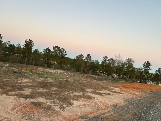 0 Western Road, Livingston, TX 77351
