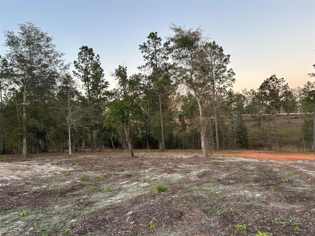 0 Western Road, Livingston, TX 77351