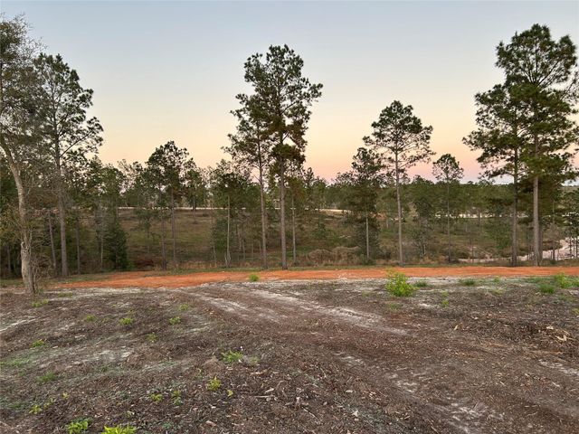 0 Western Road, Livingston, TX 77351