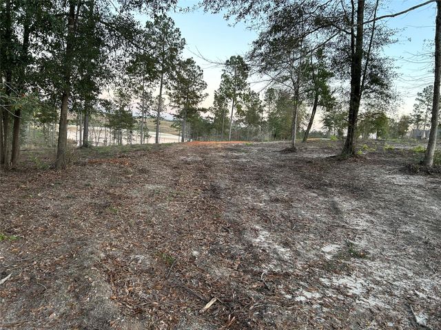 0 Western Road, Livingston, TX 77351
