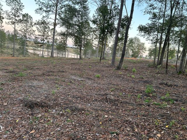 0 Western Road, Livingston, TX 77351