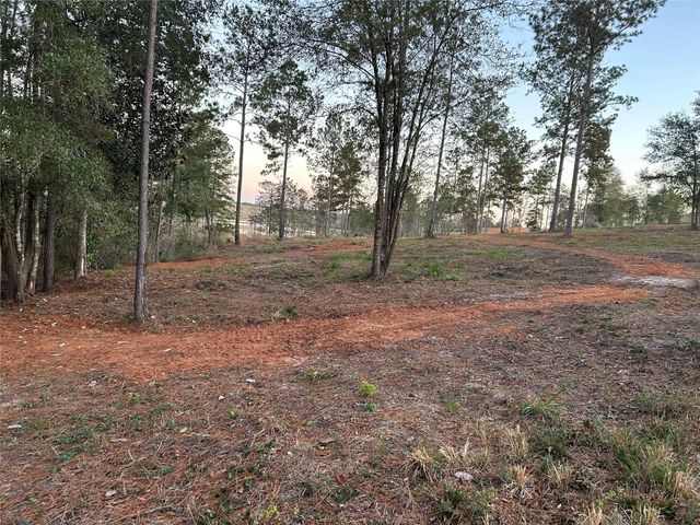 0 Western Road, Livingston, TX 77351