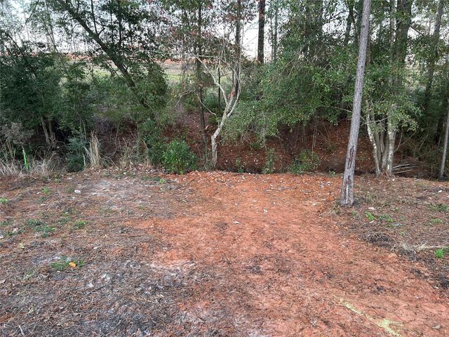 0 Western Road, Livingston, TX 77351
