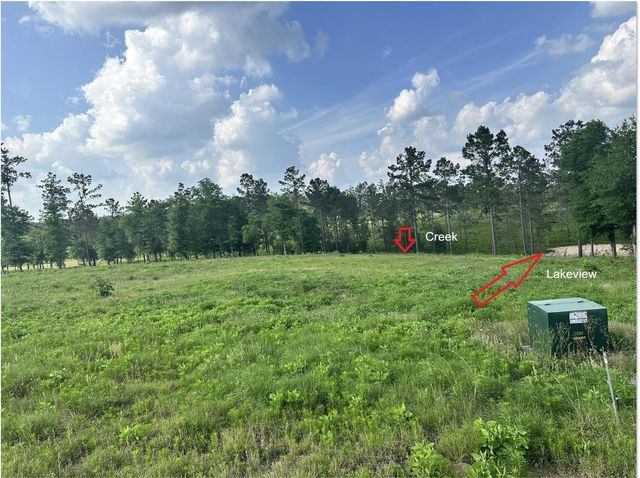 0 Western Road, Livingston, TX 77351