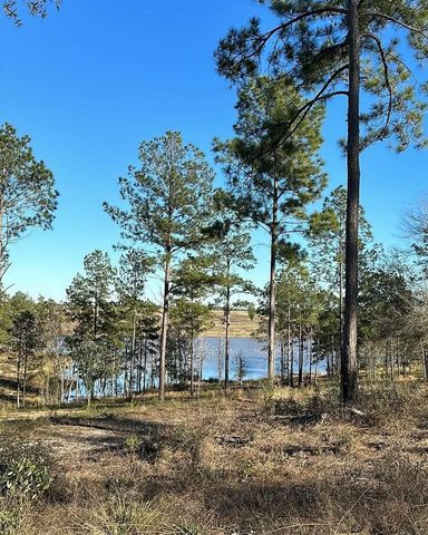 0 Western Road, Livingston, TX 77351