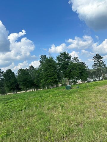 0 Western Road, Livingston, TX 77351