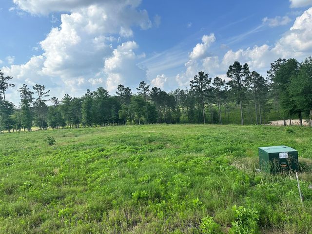 0 Western Road, Livingston, TX 77351