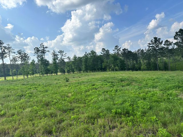 0 Western Road, Livingston, TX 77351
