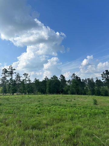 0 Western Road, Livingston, TX 77351