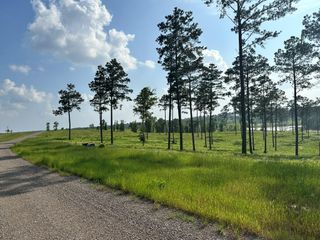 0 Western Road, Livingston, TX 77351