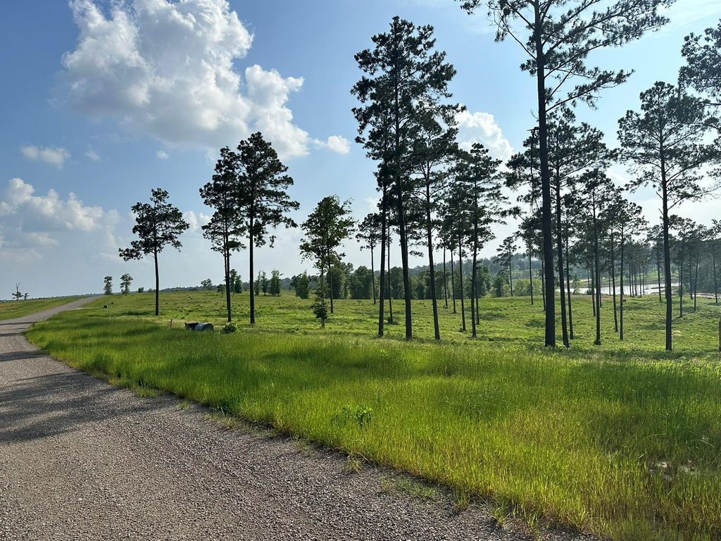 0 Western Road, Livingston, TX 77351