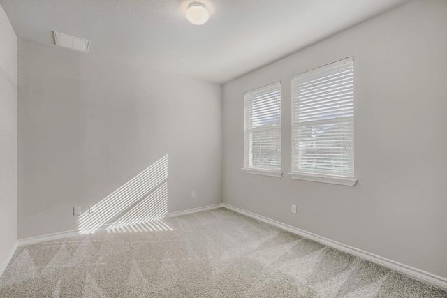 173 Flexus LN, Liberty Hill, TX 78642