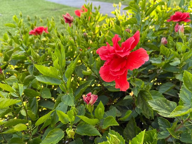 81 Camden Drive D, West Palm Beach, FL 33417